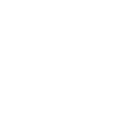 Magnaflecks